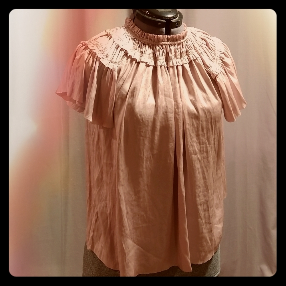 Ulla Johnson beautiful finished high neck blouse.